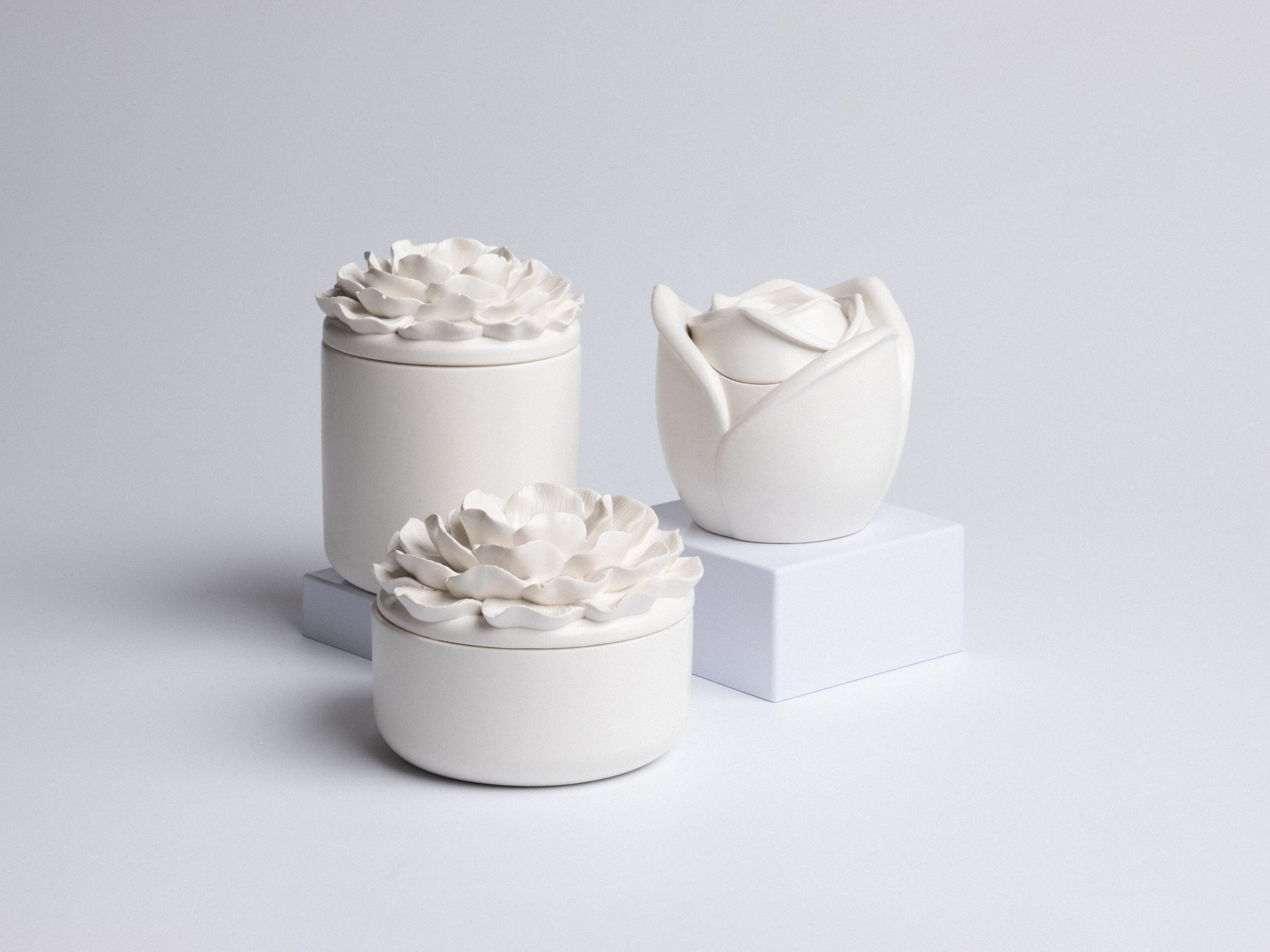 Camellia gyertyatartó