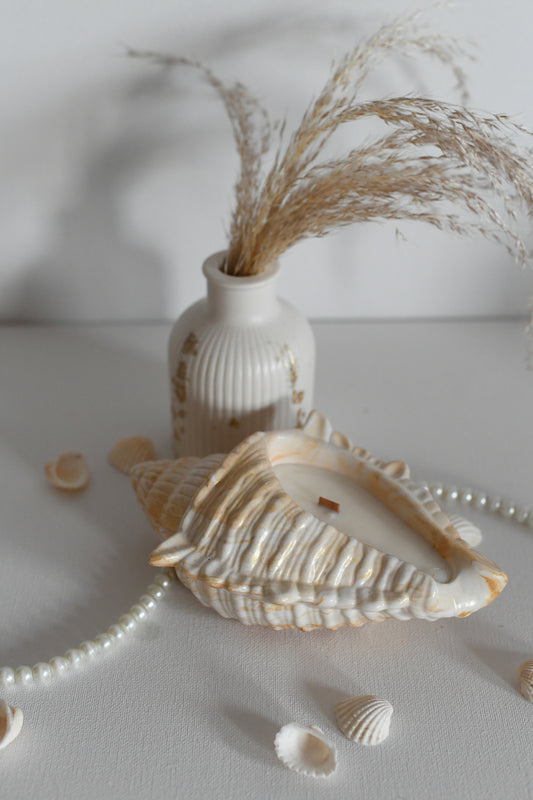 Sea Shell dekortál - L