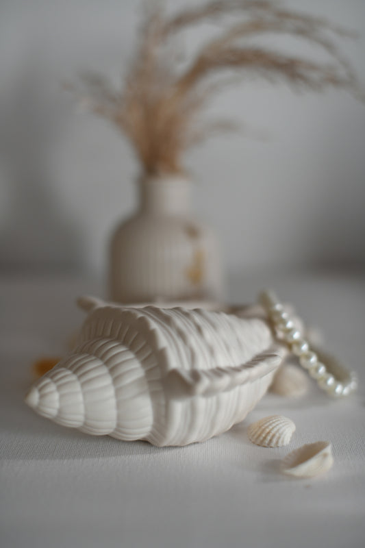 Sea Shell dekortál - L