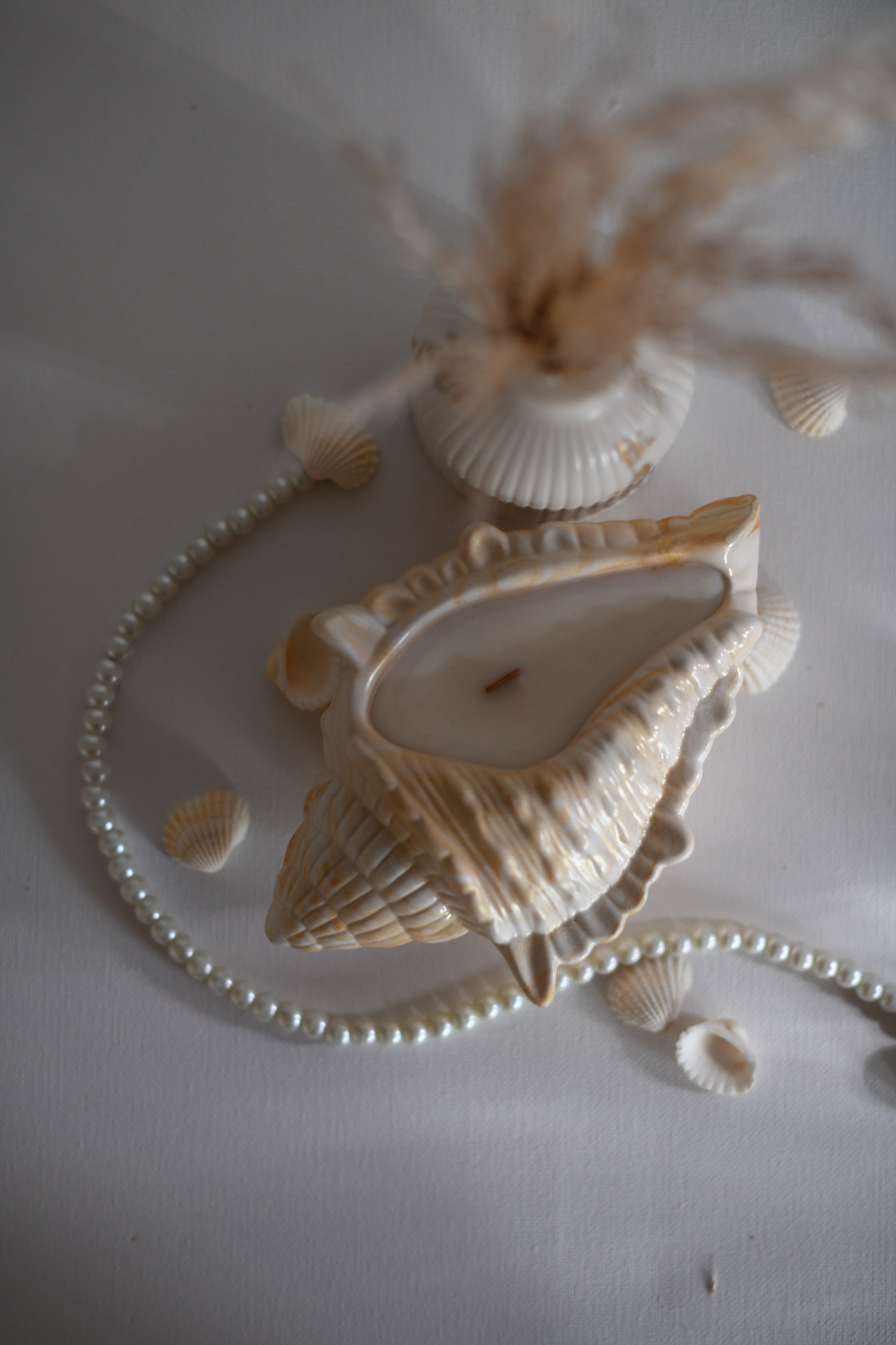 Sea Shell gyertyatartó - L