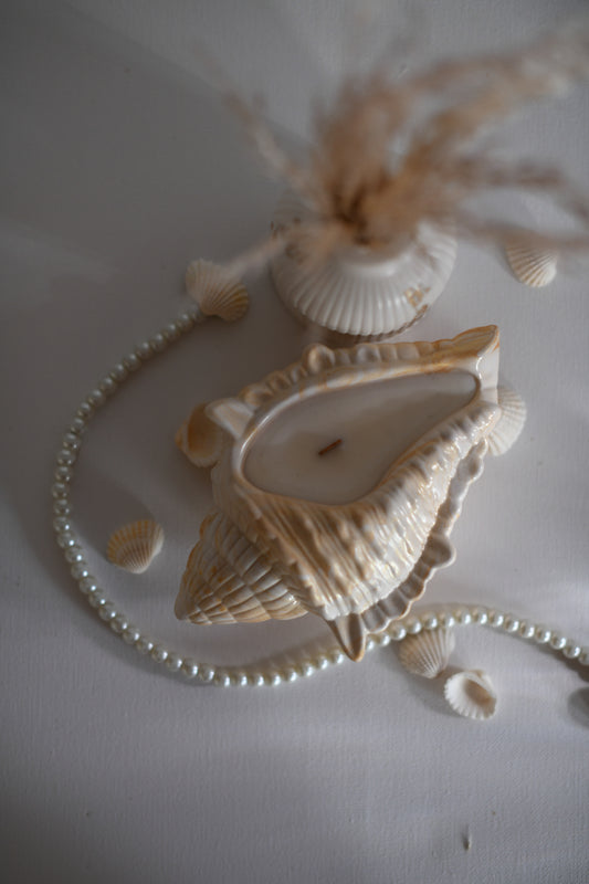 Sea Shell gyertyatartó - L