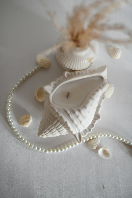 Sea Shell gyertyatartó - L