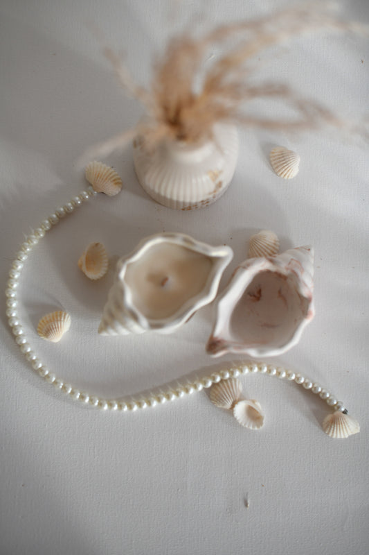 Sea Shell dekortál - S