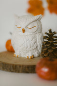 Kép betöltése a Galéria nézőbe, Moonlight Owl gyertyatartó
