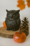 Kép betöltése a Galéria nézőbe, Moonlight Owl gyertyatartó
