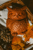 Kép betöltése a Galéria nézőbe, Moonlight Owl gyertyatartó

